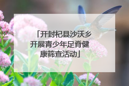 开封杞县沙沃乡开展青少年足脊健康筛查活动