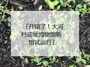 开馆了！大河村遗址博物馆新馆试运行