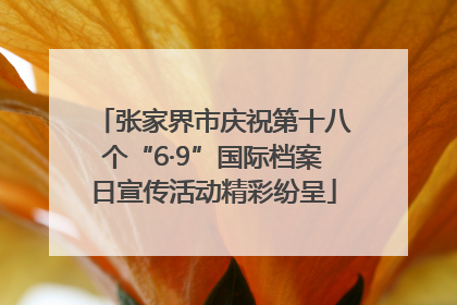 张家界市庆祝第十八个“6·9”国际档案日宣传活动精彩纷呈