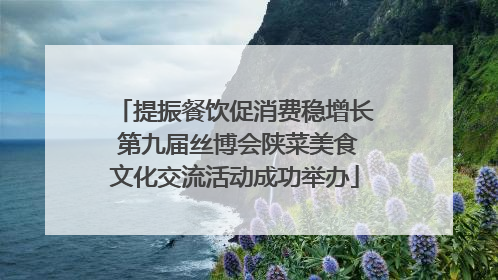提振餐饮促消费稳增长 第九届丝博会陕菜美食文化交流活动成功举办