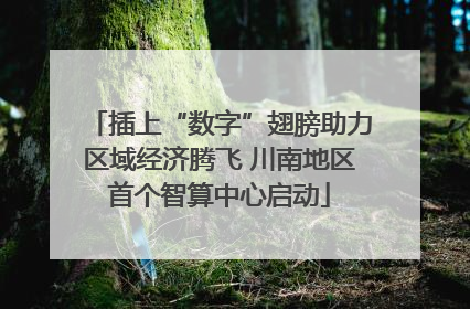 插上“数字”翅膀助力区域经济腾飞 川南地区首个智算中心启动
