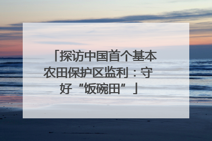探访中国首个基本农田保护区监利：守好“饭碗田”