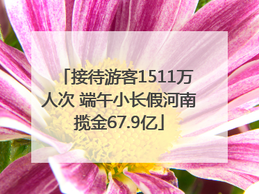 接待游客1511万人次 端午小长假河南揽金67.9亿