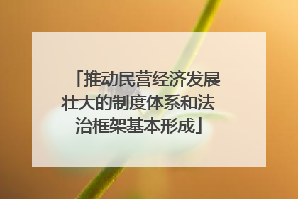 推动民营经济发展壮大的制度体系和法治框架基本形成
