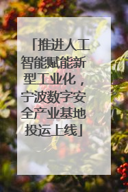 推进人工智能赋能新型工业化，宁波数字安全产业基地投运上线