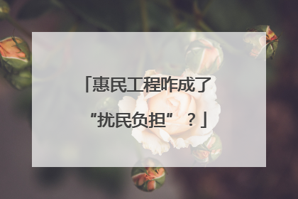 惠民工程咋成了“扰民负担”？