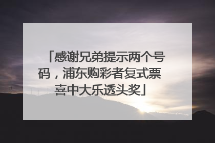 感谢兄弟提示两个号码，浦东购彩者复式票喜中大乐透头奖