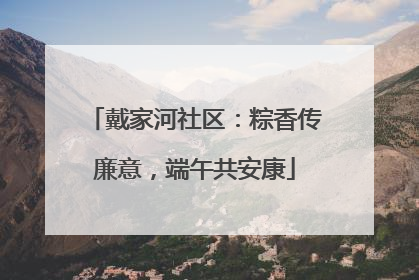 戴家河社区：粽香传廉意，端午共安康