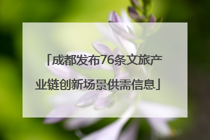 成都发布76条文旅产业链创新场景供需信息