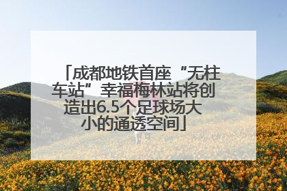 成都地铁首座“无柱车站”幸福梅林站将创造出6.5个足球场大小的通透空间