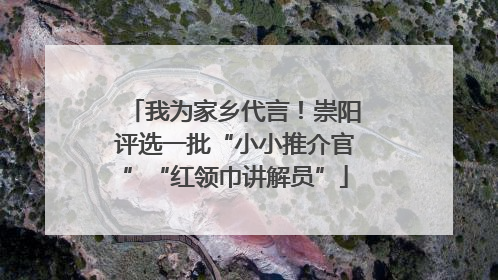 我为家乡代言！崇阳评选一批“小小推介官”“红领巾讲解员”