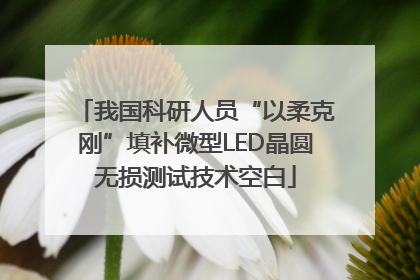 我国科研人员“以柔克刚”填补微型LED晶圆无损测试技术空白