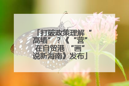 打破政策理解“高墙”？《“营”在自贸港 “画”说新海南》发布