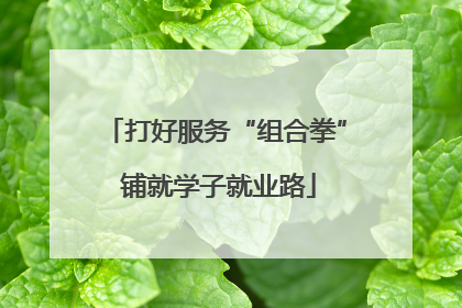 打好服务“组合拳” 铺就学子就业路