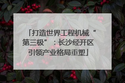 打造世界工程机械“第三极”：长沙经开区引领产业格局重塑