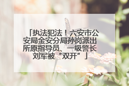 执法犯法！六安市公安局金安分局孙岗派出所原指导员、一级警长刘军被“双开”