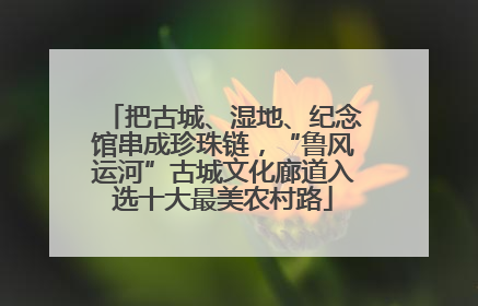 把古城、湿地、纪念馆串成珍珠链，“鲁风运河”古城文化廊道入选十大最美农村路