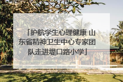 护航学生心理健康 山东省精神卫生中心专家团队走进堤口路小学