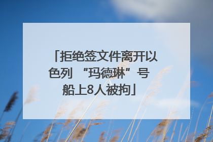 拒绝签文件离开以色列 “玛德琳”号船上8人被拘