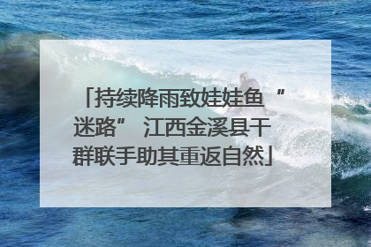 持续降雨致娃娃鱼“迷路” 江西金溪县干群联手助其重返自然