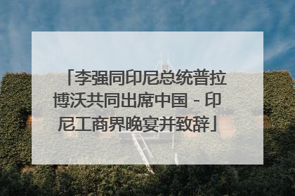 李强同印尼总统普拉博沃共同出席中国－印尼工商界晚宴并致辞
