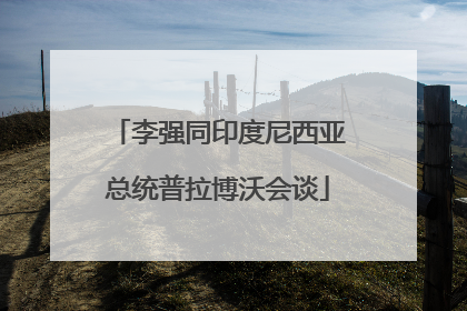 李强同印度尼西亚总统普拉博沃会谈