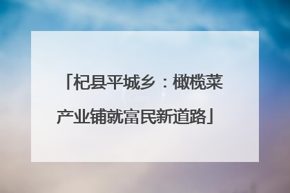杞县平城乡：橄榄菜产业铺就富民新道路
