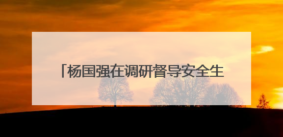 杨国强在调研督导安全生产和生态环保工作时强调 坚决守牢安全环保底线红线 为全市经济社会高质量发展提供坚强保障