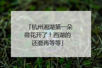 杭州湘湖第一朵荷花开了！西湖的还要再等等