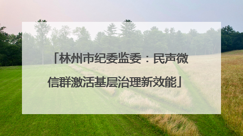 林州市纪委监委：民声微信群激活基层治理新效能