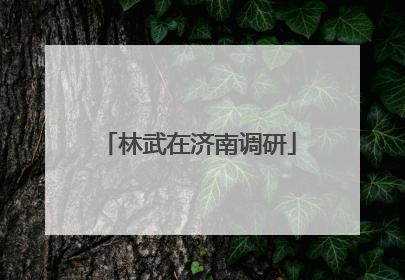 林武在济南调研