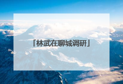 林武在聊城调研