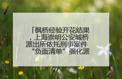 枫桥经验开花结果，上海崇明公安城桥派出所依托刑事案件“负面清单”强化派出所“主防”
