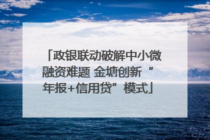 政银联动破解中小微融资难题 金塘创新“年报+信用贷”模式