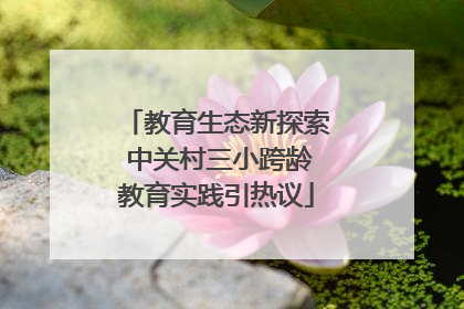 教育生态新探索 中关村三小跨龄教育实践引热议