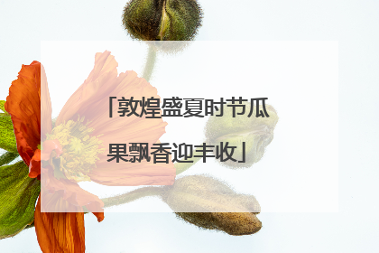 敦煌盛夏时节瓜果飘香迎丰收