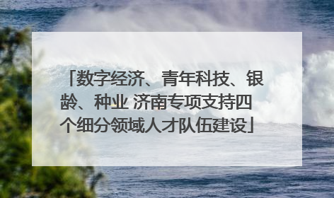 数字经济、青年科技、银龄、种业 济南专项支持四个细分领域人才队伍建设