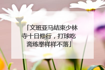 文班亚马结束少林寺十日修行，打球吃斋练拳样样不落