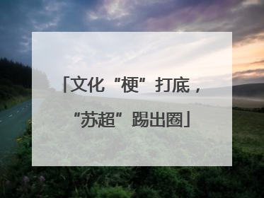 文化“梗”打底，“苏超”踢出圈