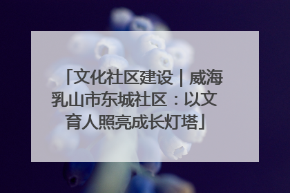 文化社区建设｜威海乳山市东城社区：以文育人照亮成长灯塔
