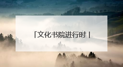 文化书院进行时丨“公益+文化”集市走进凤凰园社区