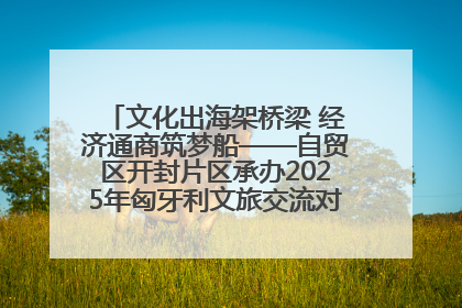 文化出海架桥梁 经济通商筑梦船——自贸区开封片区承办2025年匈牙利文旅交流对接活动专场