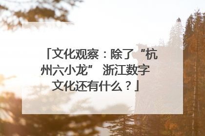 文化观察：除了“杭州六小龙” 浙江数字文化还有什么？