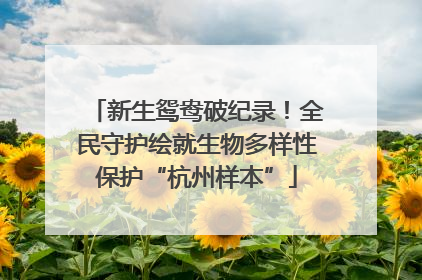 新生鸳鸯破纪录！全民守护绘就生物多样性保护“杭州样本”