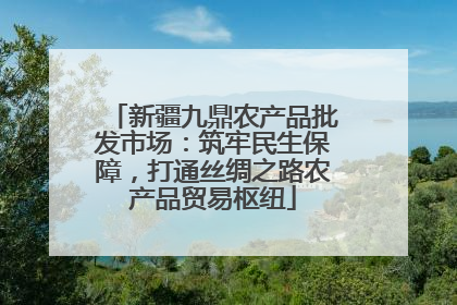 新疆九鼎农产品批发市场：筑牢民生保障，打通丝绸之路农产品贸易枢纽