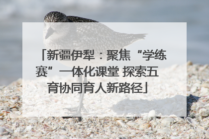 新疆伊犁：聚焦“学练赛”一体化课堂 探索五育协同育人新路径