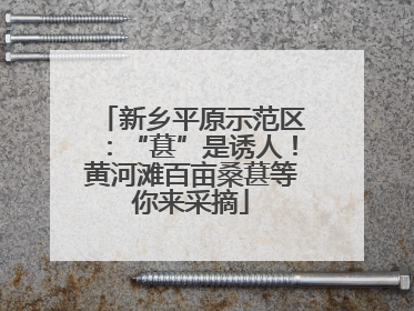 新乡平原示范区：“葚”是诱人！黄河滩百亩桑葚等你来采摘