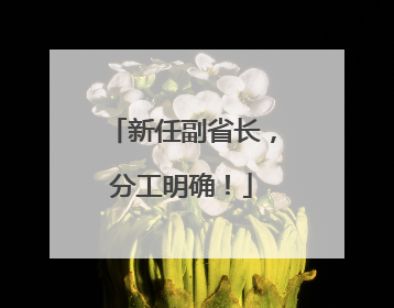 新任副省长，分工明确！