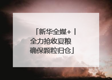 新华全媒+丨全力抢收夏粮 确保颗粒归仓