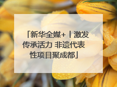 新华全媒+丨激发传承活力 非遗代表性项目聚成都